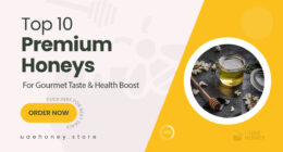 10 Premium Honeys Worth Savoring for Gourmet and Health Lovers