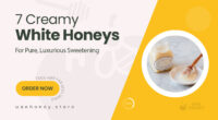 7 Creamy White Honeys for a Pure and Luxurious Sweetening Experience