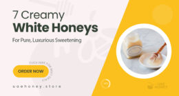 7 Creamy White Honeys for a Pure and Luxurious Sweetening Experience