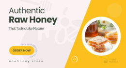 Authentic Raw Honey Picks That Taste as Pure as Nature Intended