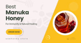 Powerful Manuka Honey Choices That Support Immunity and Healing