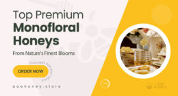 Premium Monofloral Honey Picks That Highlight Nature’s Finest Blooms