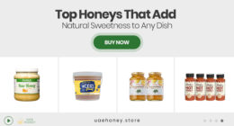 Top Honeys That Add Natural Sweetness to Any Dish